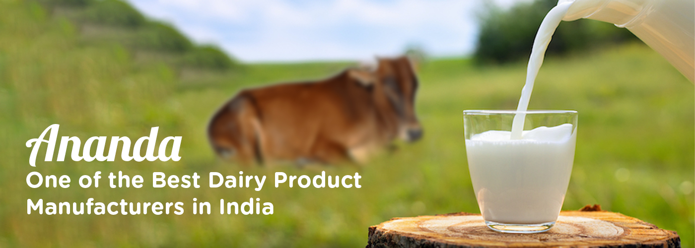 Best Dairy Product Manufacturers in India